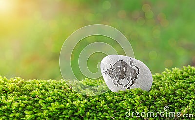 Taurus zodiac symbol in stone Stock Photo