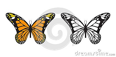 Tawny Orange Monarch butterfly vector illustration Vector Illustration