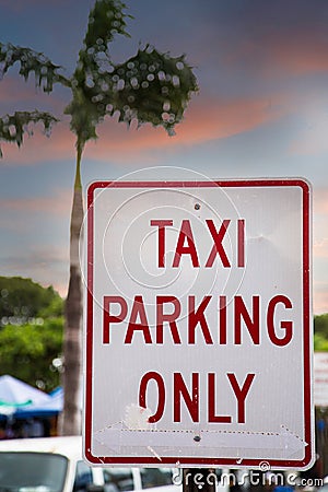 Taxi Parking Only in Tropical Dusk Stock Photo