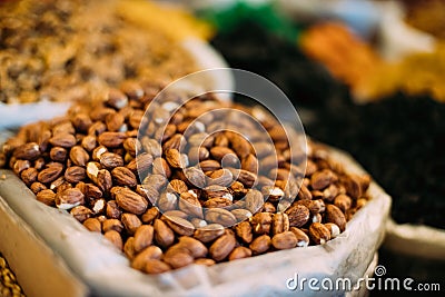 Tbilisi, Georgia. Close View Of Hazelnut Cobnut Filbert Nut In Bag Stock Photo