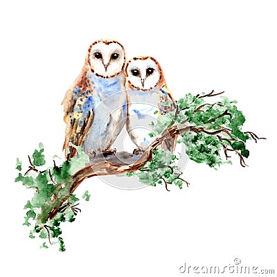 Watercolor Cute Barn Owls Couple sitting on branch Painting Illustration Stock Photo