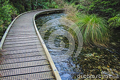 Te Waikoropupu Springs, also known as Pupu Springs, near Takaka, South Island, New Zealand Stock Photo