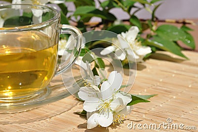 Tea with branch jasmine Stock Photo