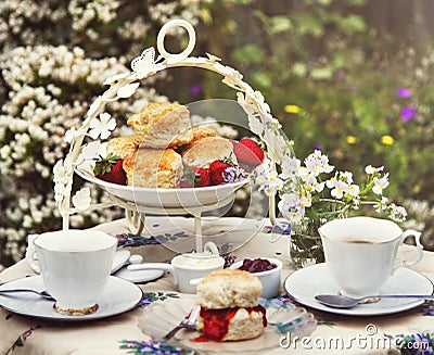 Tea Break Scone Strawberry Jam Garden Outdoors Concept Stock Photo