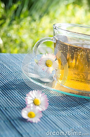 Tea chamomile Stock Photo