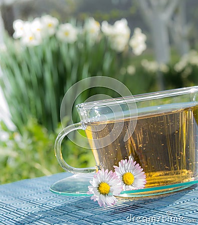 Tea of chamomile Stock Photo
