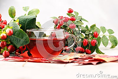 Tea. cup of herbal Dog rose tea with bunch branch Rosehips, type Stock Photo
