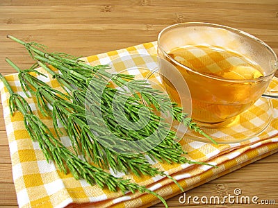 Tea with field horsetail Stock Photo