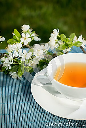 Tea of healthy herb Stock Photo