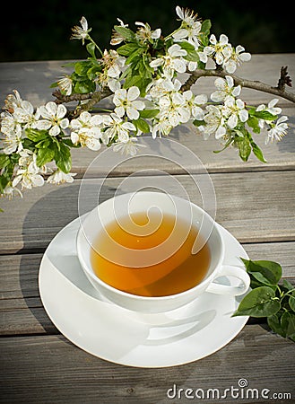 Tea of healthy herb Stock Photo