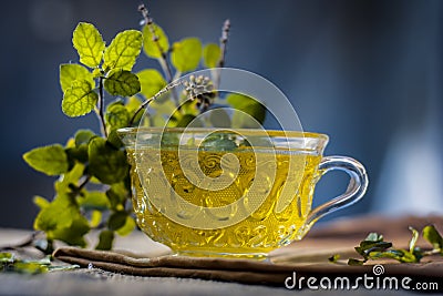 Tea of holy basil,tulsi,Ocimum tenuiflorum,in a transparent cup with leaves beneficial for heart diseases and stress. Stock Photo