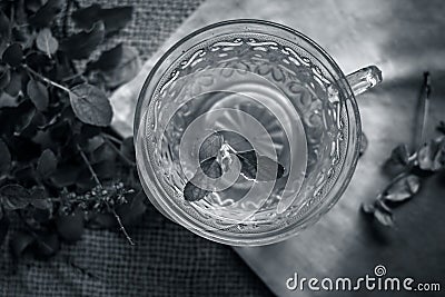 Tea of holy basil, tulsi, Ocimum tenuiflorum, in a transparent cup with leaves beneficial for heart diseases and stress. Stock Photo