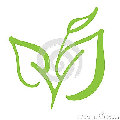 Tea leaves icon logo vector illustration green on white background Vector Illustration