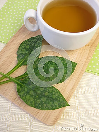 Tea with lungwort Stock Photo