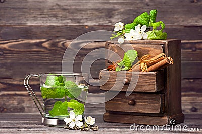 Tea with Mint Stock Photo