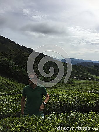 Tea plantation terraces in Malaysia Editorial Stock Photo