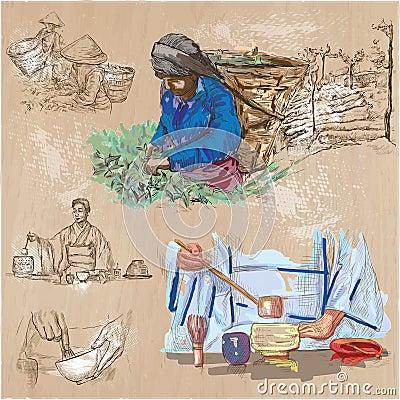 Tea Processing. Agriculture. An hand drawn vector illustration. Vector Illustration