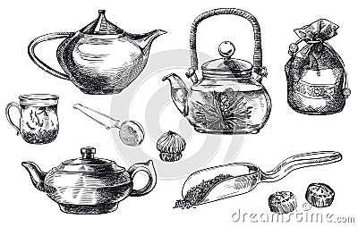 Tea pu-erh. set of vector sketches Vector Illustration