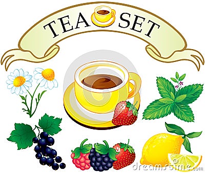 Tea set aromatic plants Vector Illustration