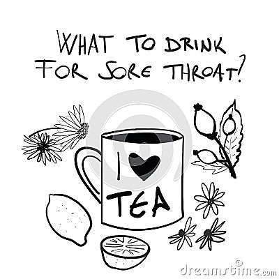 Tea for sore throat and herbs hand drawn vector illustration set. Mint, chamomile, echinacea, rosehip, lemon Cartoon Illustration