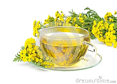 Tea tansy Stock Photo