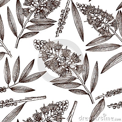 Vintage background with Hand drawn tea tree sketches. Cosmetics and medical myrtle plant seamless pattern. Vector cajeput tree bot Stock Photo