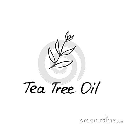 Tea Tree Plant. Cosmetic ingredient tea tree oil. Hand drawn icon for print and web. Vector graphic Vector Illustration