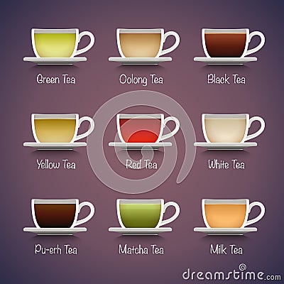 Tea Types Infographics Vector Illustration