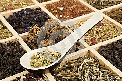 Tea variation. Stock Photo