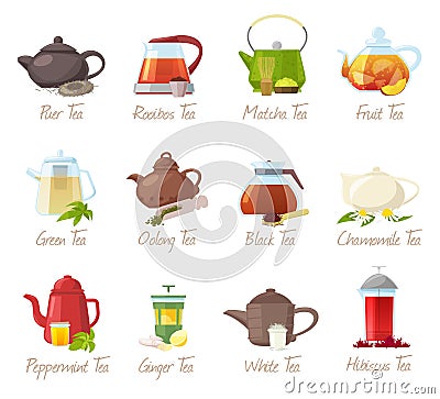 Tea vector puer-tea and rooibos or matcha fruity drinks in teapot illustration drinking set of green or black tea in Vector Illustration