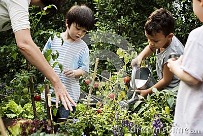 Teacher and kids school learning ecology gardening Stock Photo