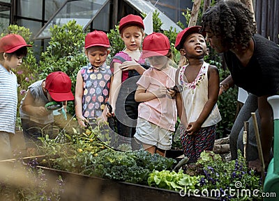 Teacher and kids school learning ecology gardening Stock Photo