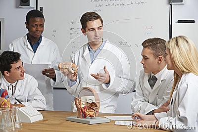 Teacher With Model Of Brain In Biology Class Stock Photo