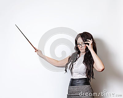 Teacher with a pointer. Stock Photo