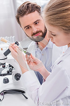 Teacher and student scientists examining green plant with soil in test tube Stock Photo