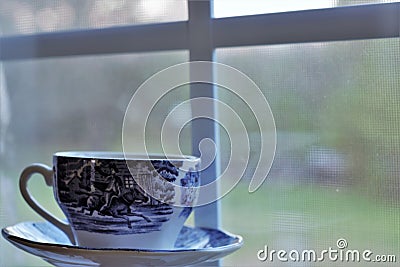 Teacup Stock Photo