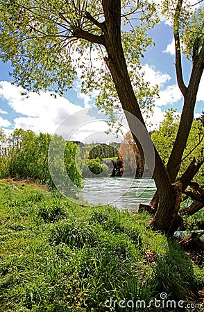 Teal colored Clutha River Stock Photo