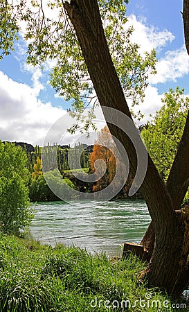 Teal colored Clutha River Stock Photo