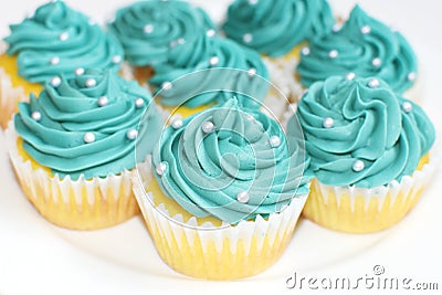 Teal Cupcakes Stock Photo