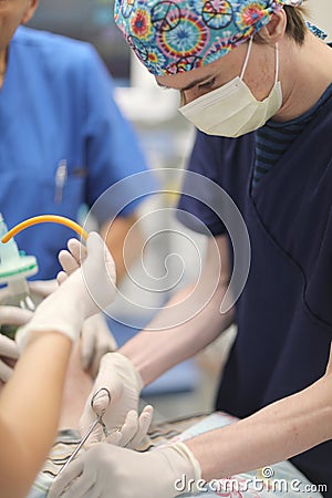 A team of anesthesiologists prepares a patient for surgery Stock Photo