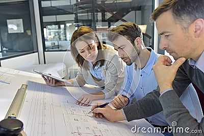 Team of architects working on a project Stock Photo