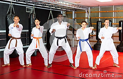 Team of athletes in kimono at karate class in gym Stock Photo