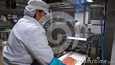 Team In de trabajo una fábrica de proceso de los mariscos almacen de metraje de vídeo Team In de trabajo una fábrica de proceso de los mariscos almacen de metraje de vídeo