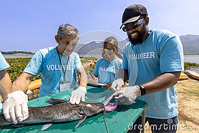 Team of ecologist volunteer pulling non biodegradable micro plastic from the endanger species fish due to the irresponsible waste Stock Photo