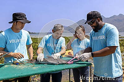 Team of ecologist volunteer pulling non biodegradable micro plastic from the endanger species fish due to the irresponsible waste Stock Photo