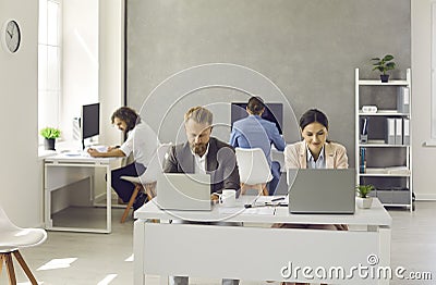 Team of employees sitting at office desks and working on laptop and desktop computers Stock Photo