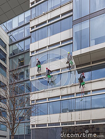 A team of four climbers washes the windows and walls of a multi-story office building Editorial Stock Photo