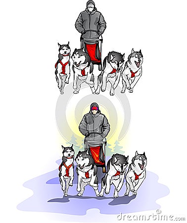 Team of four sports sled dogs with dog-driver Vector Illustration