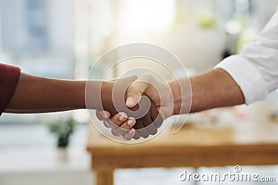 A team handshake in agreement between colleagues and coworkers in an office. Working together as a team to achieve Stock Photo