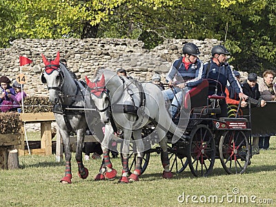 Team of 2 horses Marathon event Editorial Stock Photo